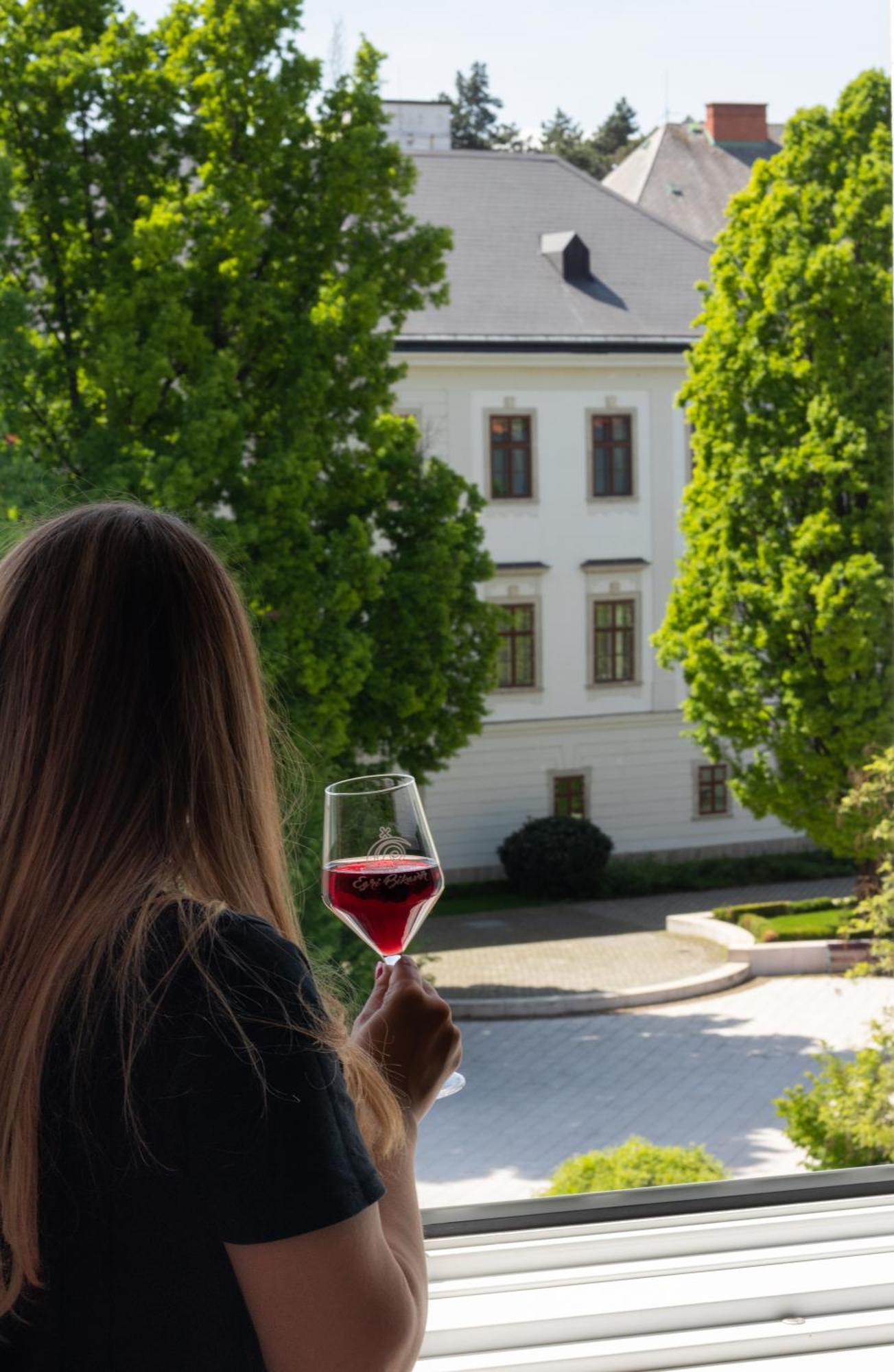 Suzy Apartman Eger Extérieur photo
